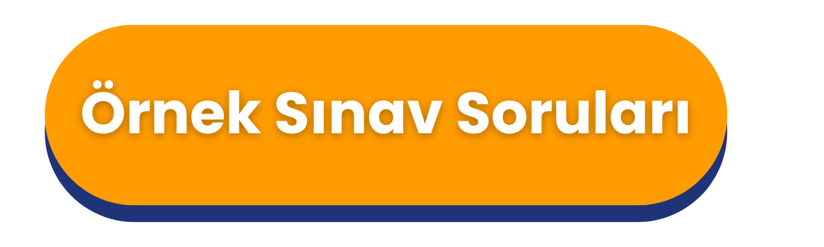 ornek-sinav-sorulari.png
