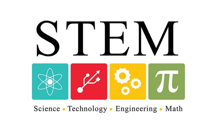 stem.jpg